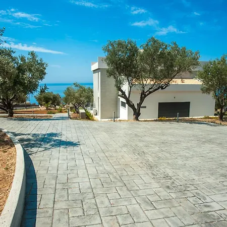 Premium Ionian -